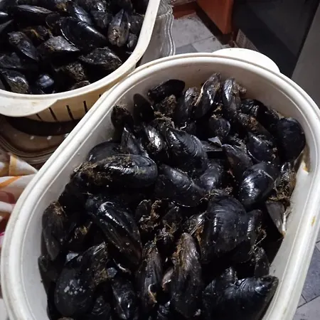 Pensiune I Sobe Cule