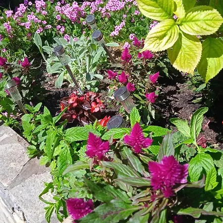 I Sobe Cule بيت ضيافة 3*