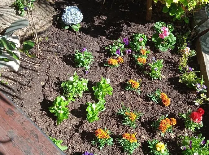 Πανσιόν I Sobe Cule Cres