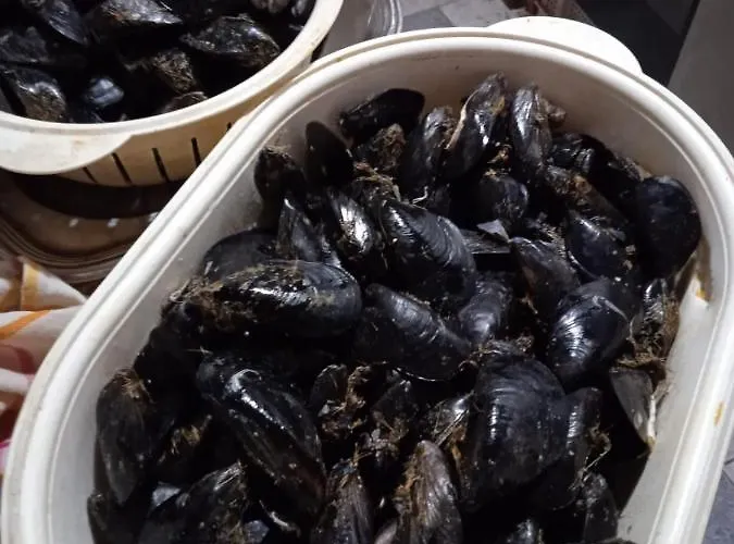 Πανσιόν I Sobe Cule