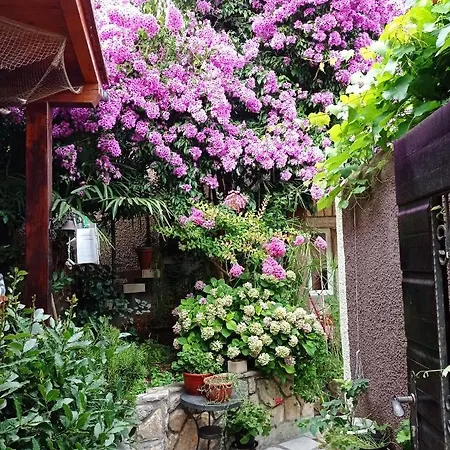 Maison d'hôtes I Sobe Cule