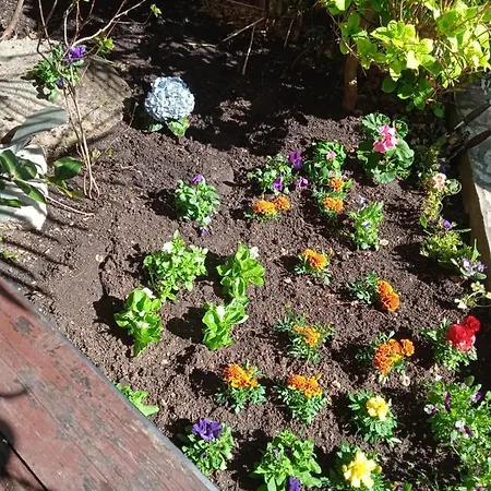 Gæstehus I Sobe Cule Cres