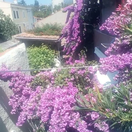 I Sobe Cule Gæstehus