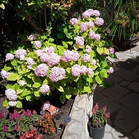 I Sobe Cule Vendégház