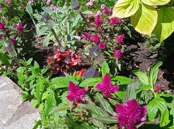 I Sobe Cule Penzion 3*